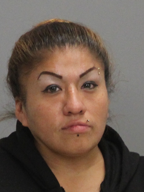 VARELA GARCIA, PATRICIA LEE booking photo