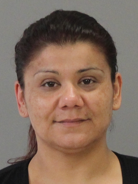 REYES, STEPHANIE ANN booking photo