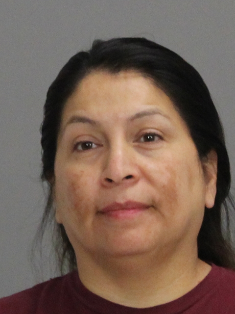 SANCHEZ, JEANETTE VILLALPANDO booking photo