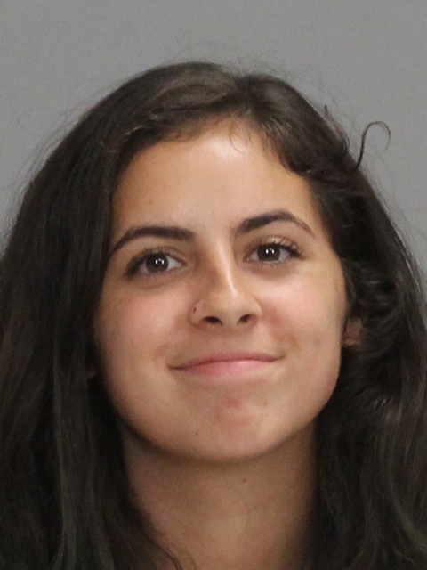 LESTER, MORGAN LEE booking photo