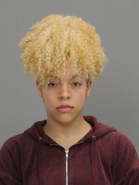 MCWILLIAMS, RACHEL MISHAYLA booking photo