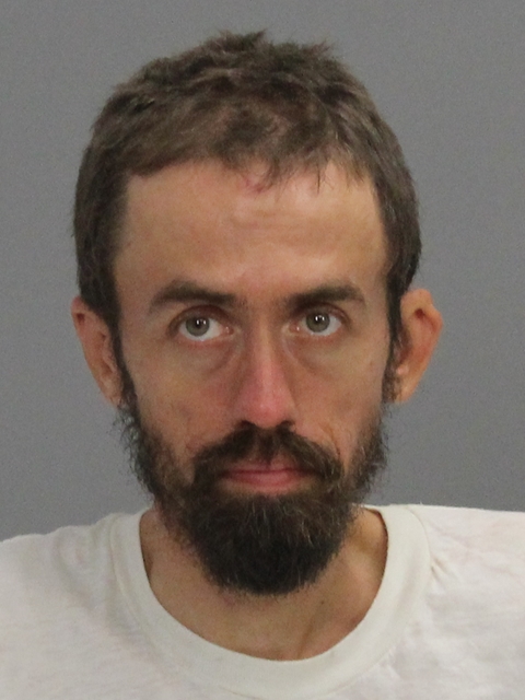 Martini-Stoica, Dieter GEORGE booking photo