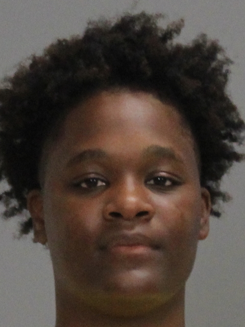 THOMPSON, BREANNA NICHOLE booking photo