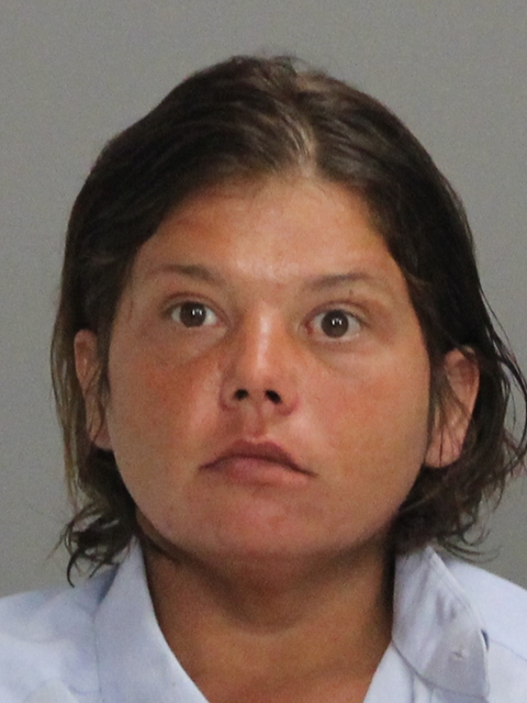 DOWNING, TERRI LYDIA booking photo