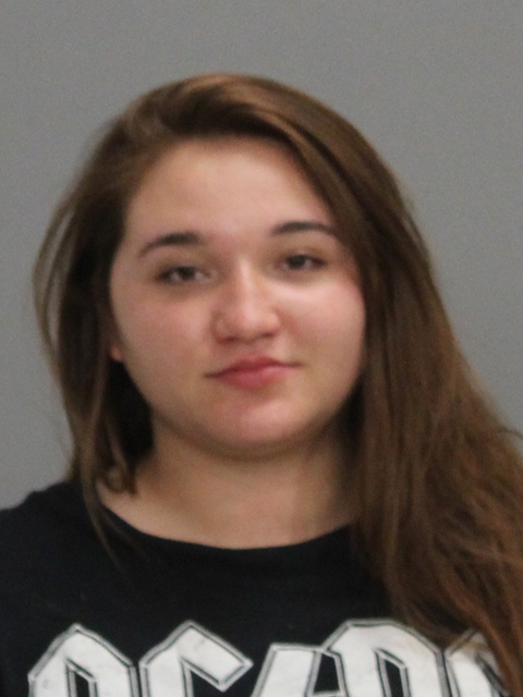 MORRIS, KELSEY ELIZABETH booking photo