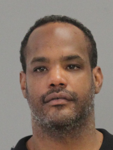 DAVIS, DARRYL WATTS booking photo