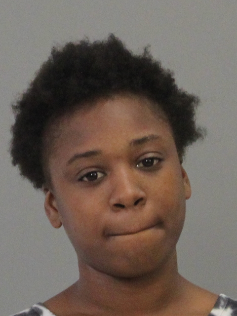 WILSON, MONASHA RENEE booking photo