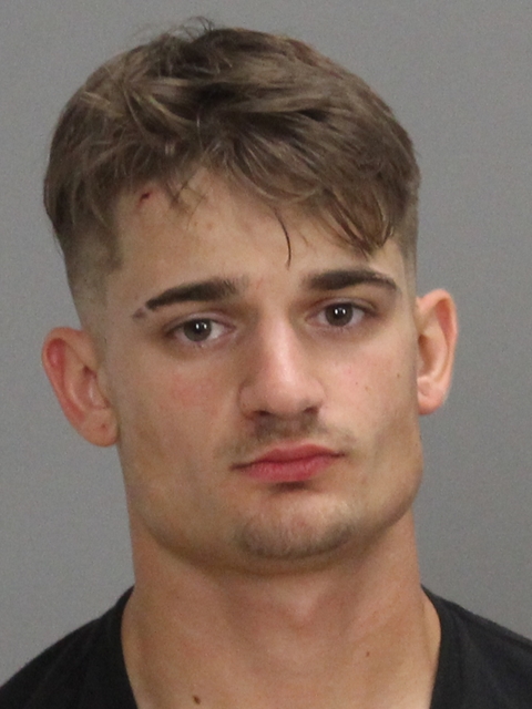 Reece, Bryan Shawn booking photo