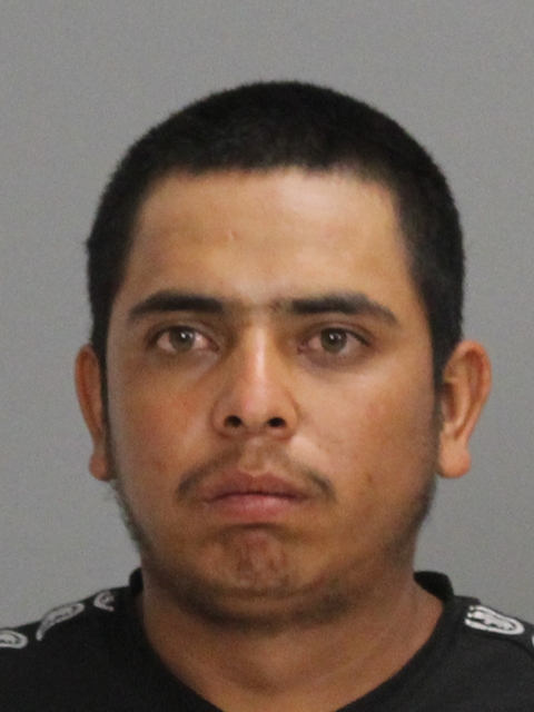 DOMINGUEZ-CAMARIO, JOSE GUADALUPE booking photo