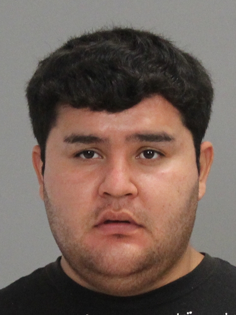 PINEDA-DURAN, JORGE ANTONIO booking photo