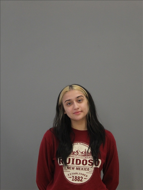 LOPEZ, HAILEY ELIZABETH booking photo