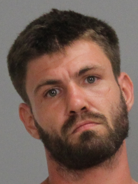 MICHAEL, GLENN ANTHONY ARMSTRONG booking photo