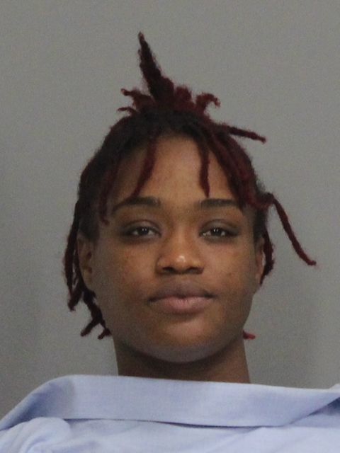 FIELDER, SEDRIA LASHAWN booking photo