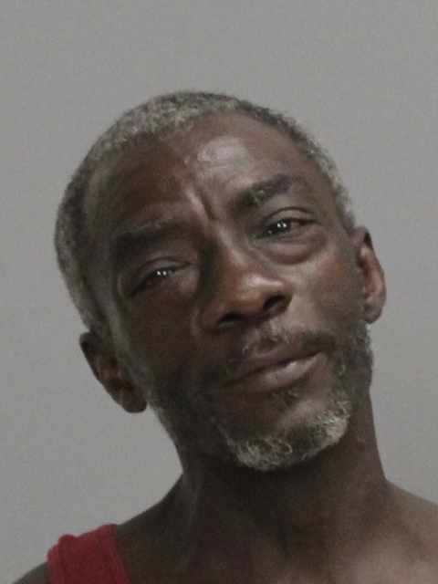 JOHNSON, BOBBY RAY booking photo