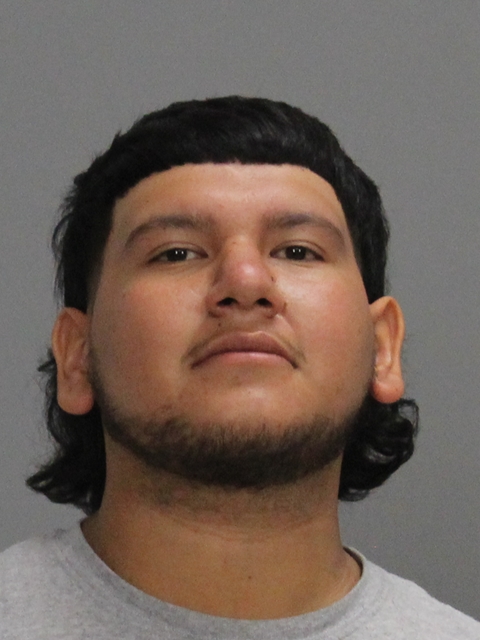 Melendez, Orlando, Jr booking photo