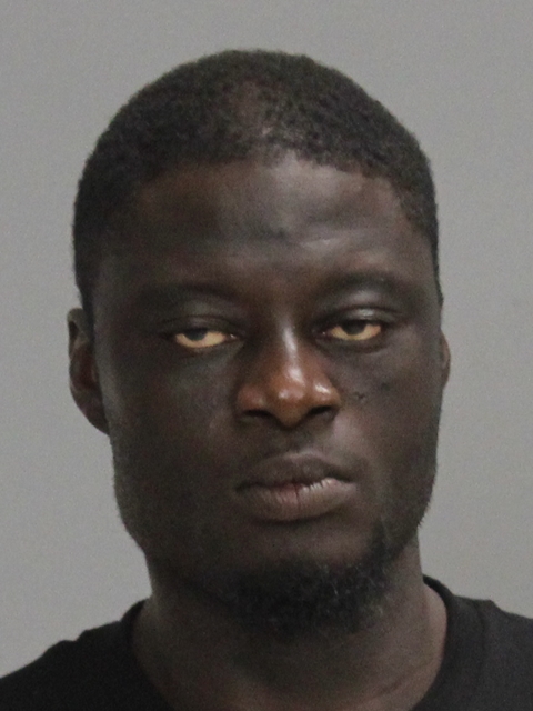 JOHNSON, LONNIE RAY, Jr booking photo