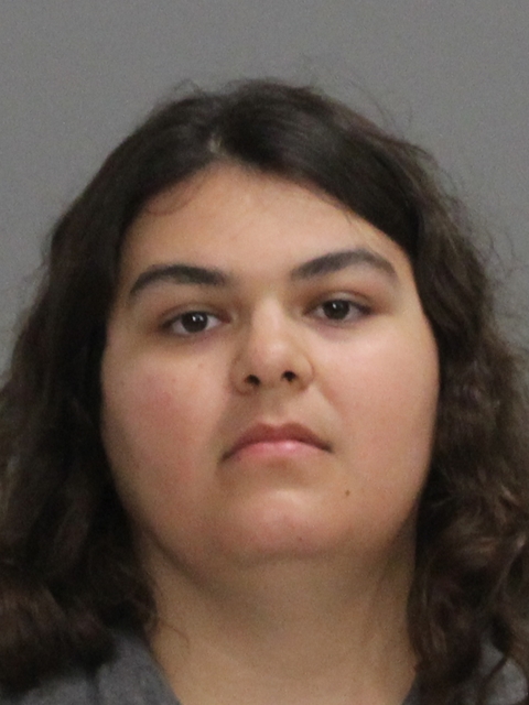 Torres, Sabrina Nicole booking photo