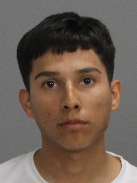 Benitez-Gomez, Rogelio Nunez booking photo