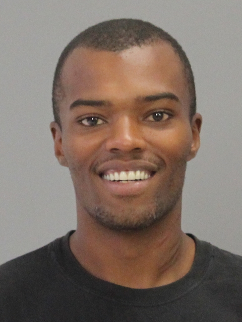 BROWN, MICHAEL LOGAN booking photo