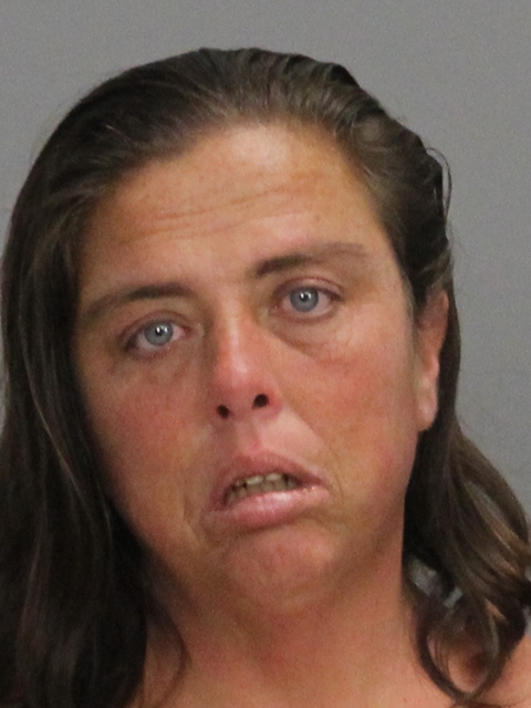 ADAMS, ROBERTA MARIE booking photo