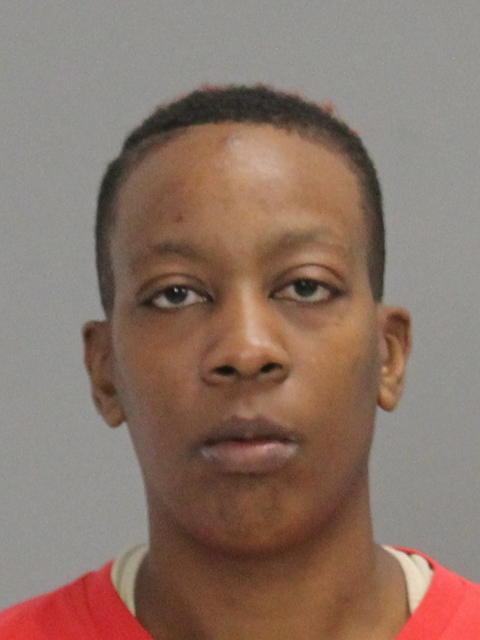 WILSON, JAQUEL DEJANETTE booking photo