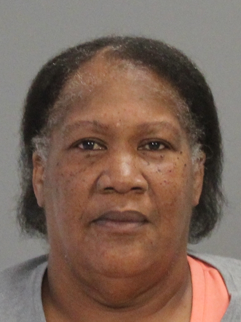 JOHNSON, DEBORAH JEAN booking photo
