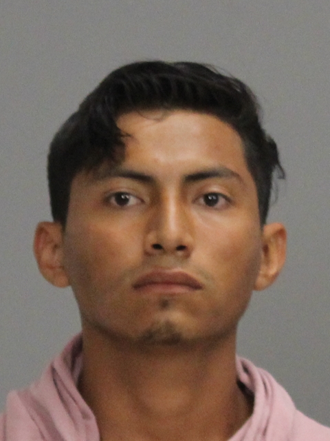 REYES-LUNA, SAGIR EDENILSON booking photo