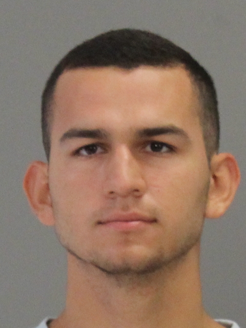 SOTO, DAVID ANDRES booking photo