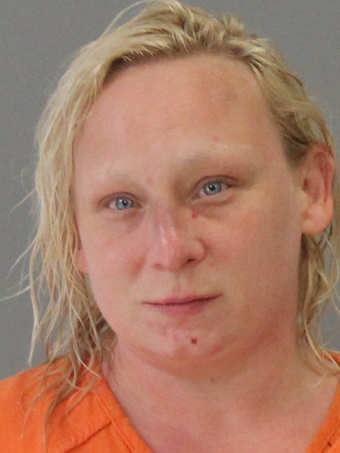 MCNABB, ASHLEY NICOLE booking photo