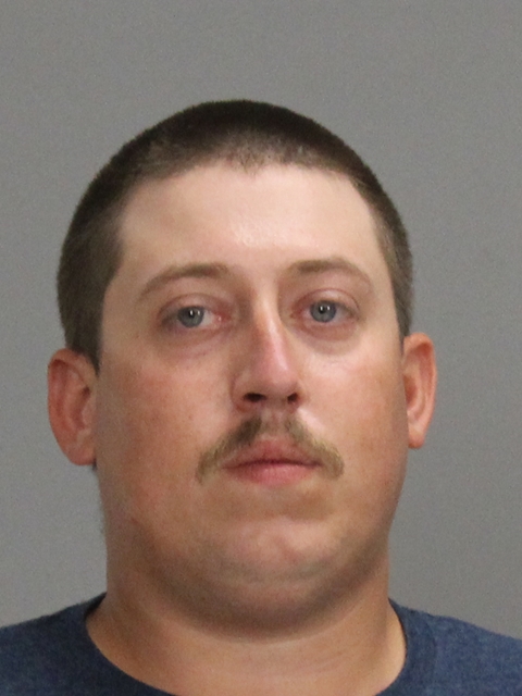 RYAN, DAKOTA DEE booking photo