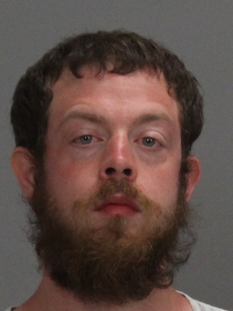 MCDANIEL, RICKY MARKS booking photo