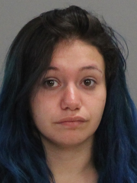 SHANE, RANDI MICHELLE booking photo