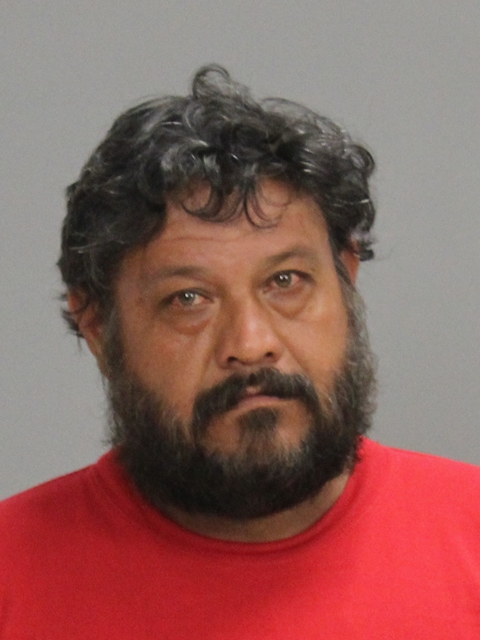 RAMIREZ MARTINEZ, ISRAEL booking photo