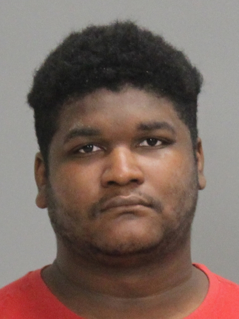 Crespo, Chaynenne Michael booking photo