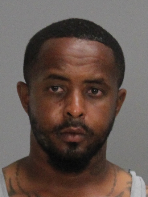 YOUNG, VONTRAE DESHUN booking photo