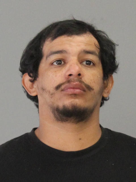 SILVA, ANDREW booking photo