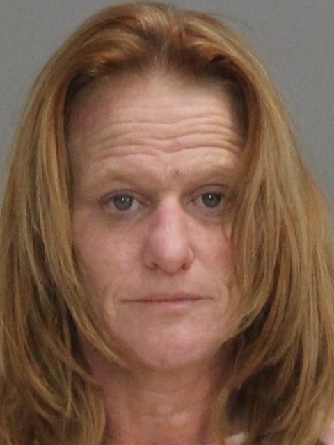 SCHILL, SHEILA RENA arrested by Brazos County SO/PD