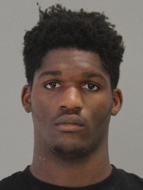 REESE, ALAN WAYNE, Jr. booking photo