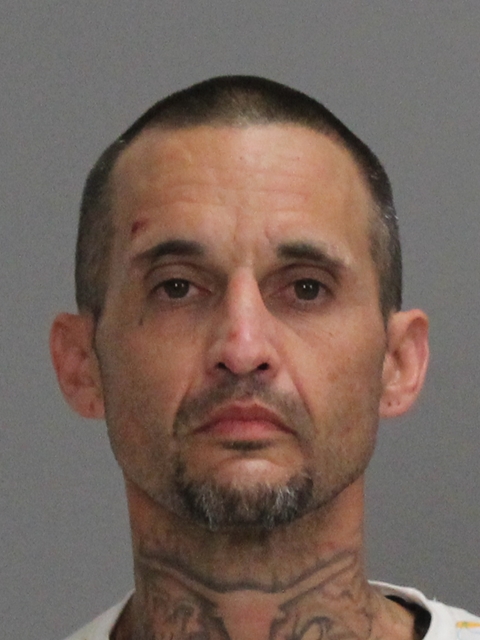 DAVIS, HALL WILSON booking photo