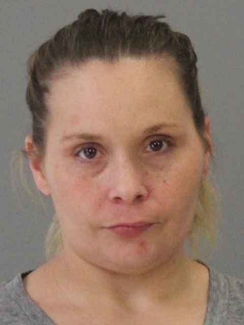 BRILEY, JAMIE LYNN booking photo