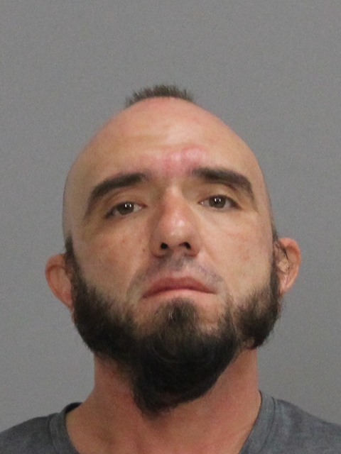 CARPIO, LOUIS booking photo