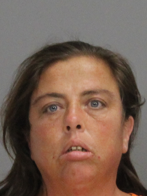 ADAMS, ROBERTA MARIE booking photo