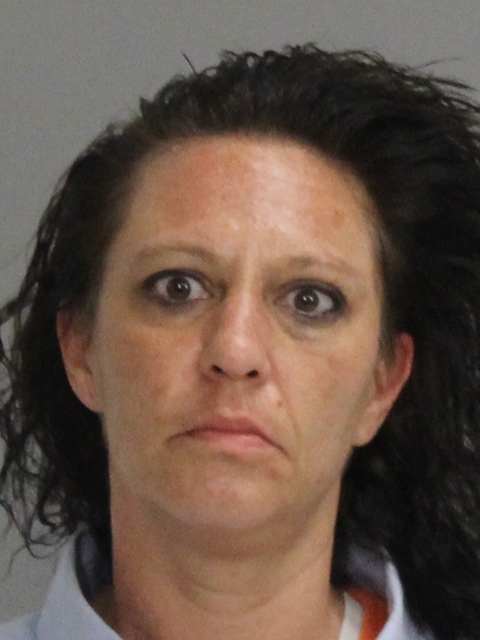 STEPHENSON, ELIZABETH ANN booking photo