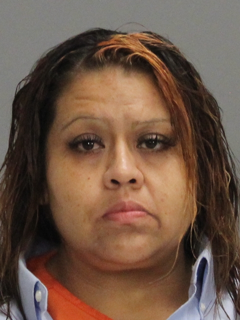 ARENAS, AMY MICHELLE booking photo