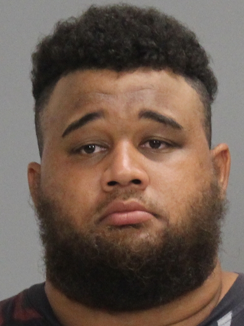 YOUNG, ROBERT booking photo