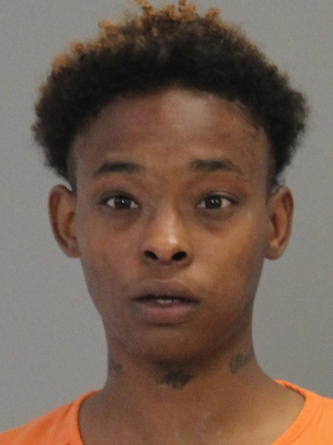 Williams, Tanaya Sarie arrested by Brazos County SO/PD