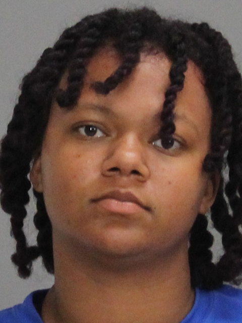 Chambers, Autumn Sky arrested by Brazos County SO/PD