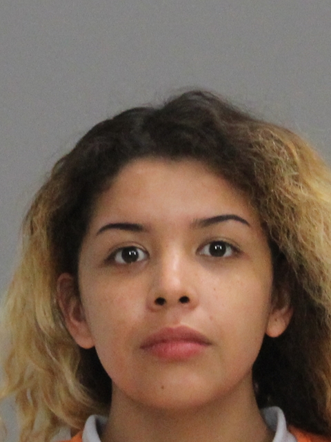 Diaz-Garcia, Veronica Marie booking photo