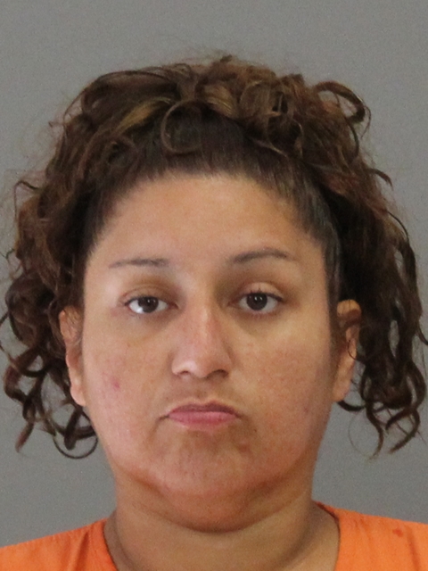 DELEON, JUDY booking photo