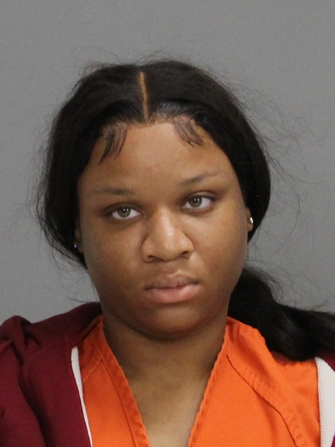 BIBBINS, ALEXANDRIA ELIZABETH booking photo